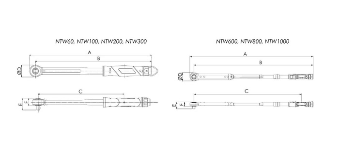 NTW Dimensional Image